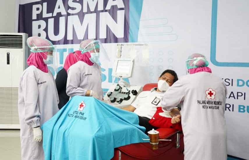 Plasma BUMN untuk Indonesia