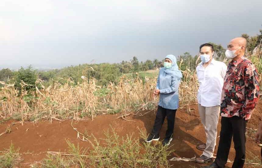 Harap Ada SMK di KEK Singhasari