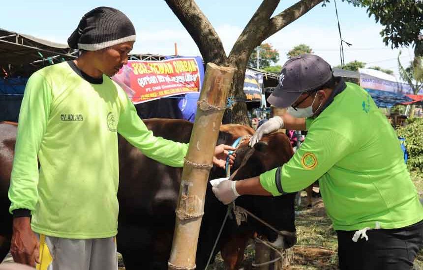 Himbau Iduladha Tak Mudik
