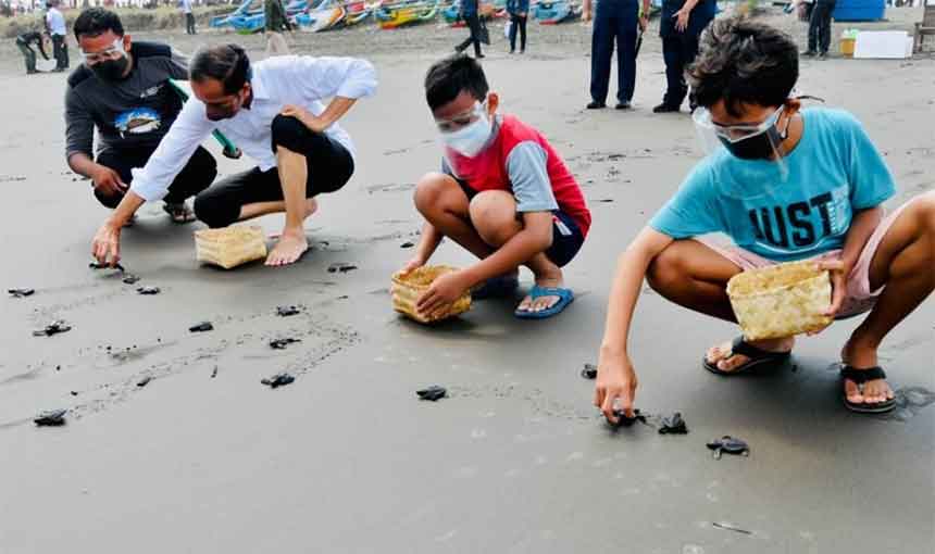 Lepas 1.500 Tukik, Agar Tidak Punah