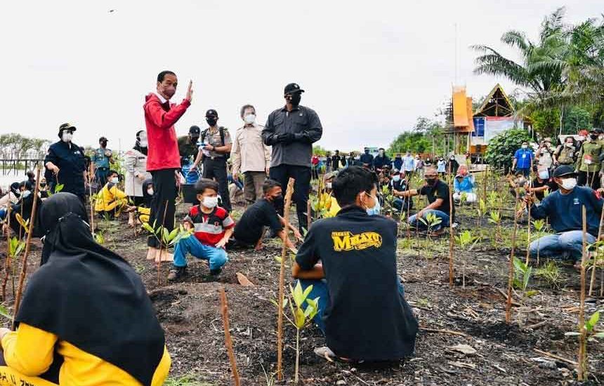 Rehabilitasi Mangrove Terus Dilakukan