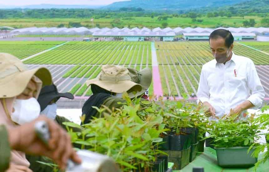 Indonesia Serius Tangani Perubahan Iklim