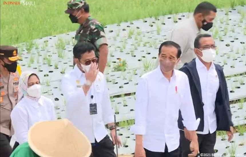 Ada Food Estate di Temanggung