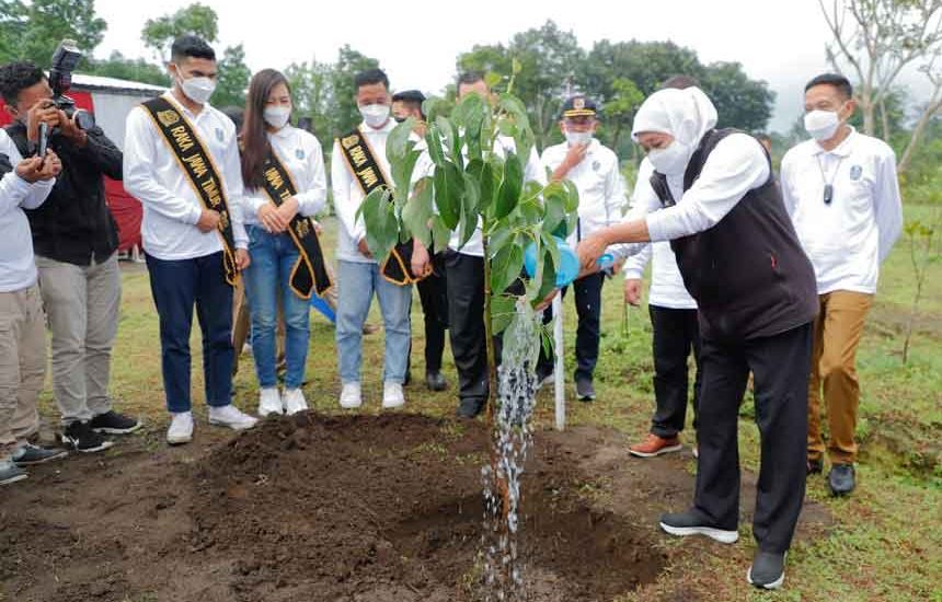 Khofifah Ikut Tanam Bibit di Wajak Malang