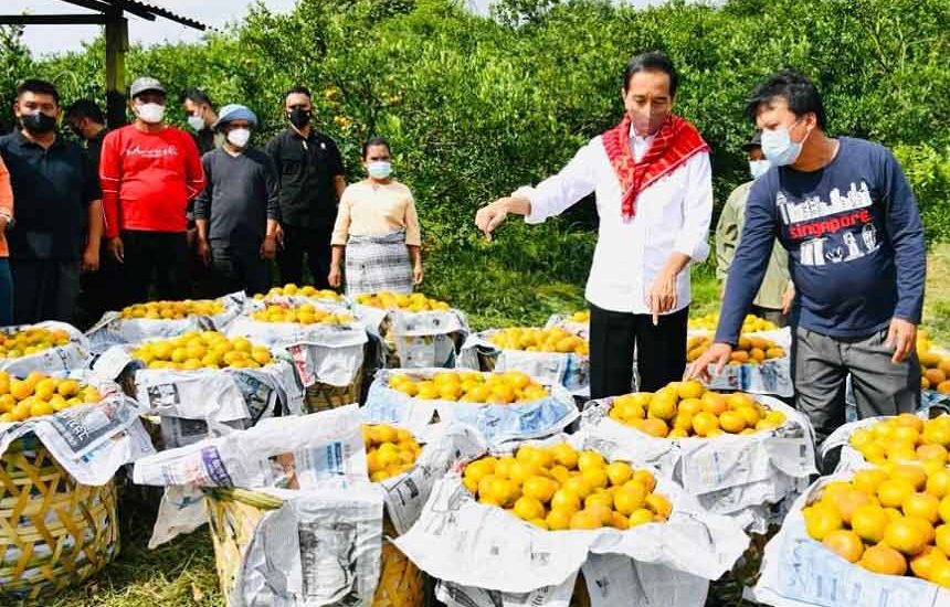 Indonesia Raya di Sepanjang Jalan