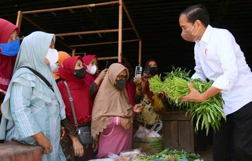 Presiden Serahkan Bansos di Brebes