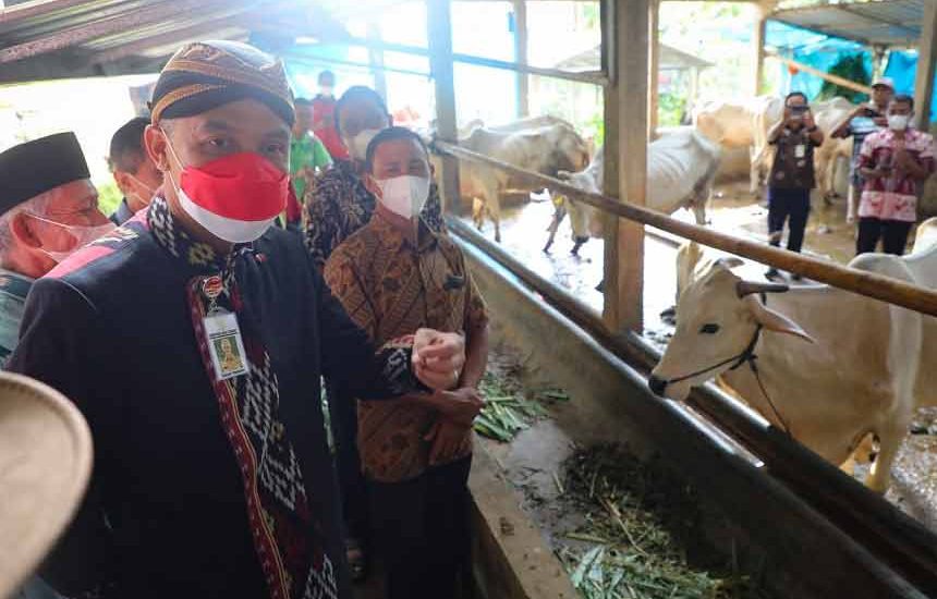 Ganjar: Bisa Diobati, Tak Usah Panik