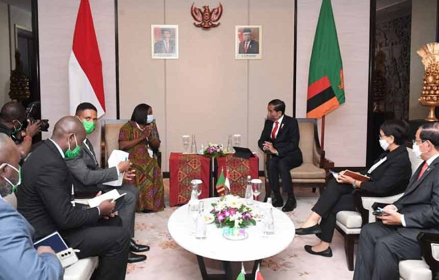 Penguatan Kerja Sama Ekonomi Dengan Zambia