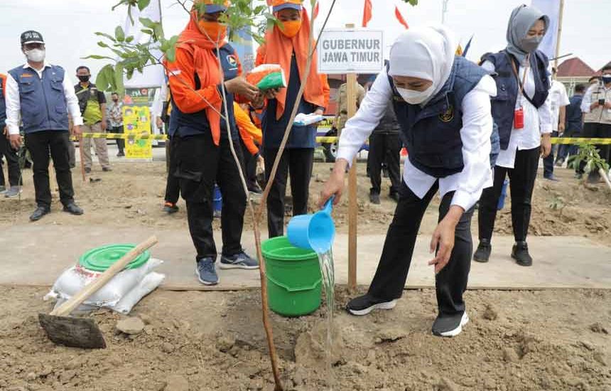 Tindakan Sederhana Mencintai Lingkungan