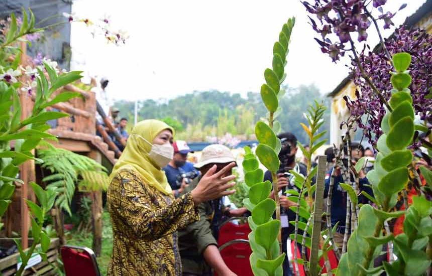Budidaya Anggrek Jatim untuk Ekspor