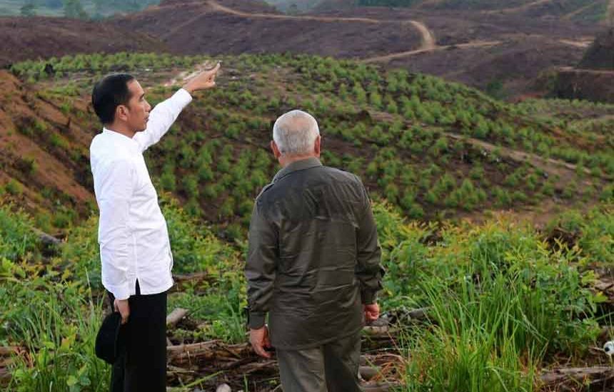 Air Permukaan Melimpah di IKN