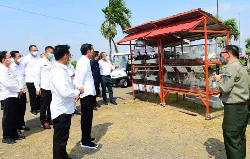 Jokowi Pastikan Ketersediaan Pangan