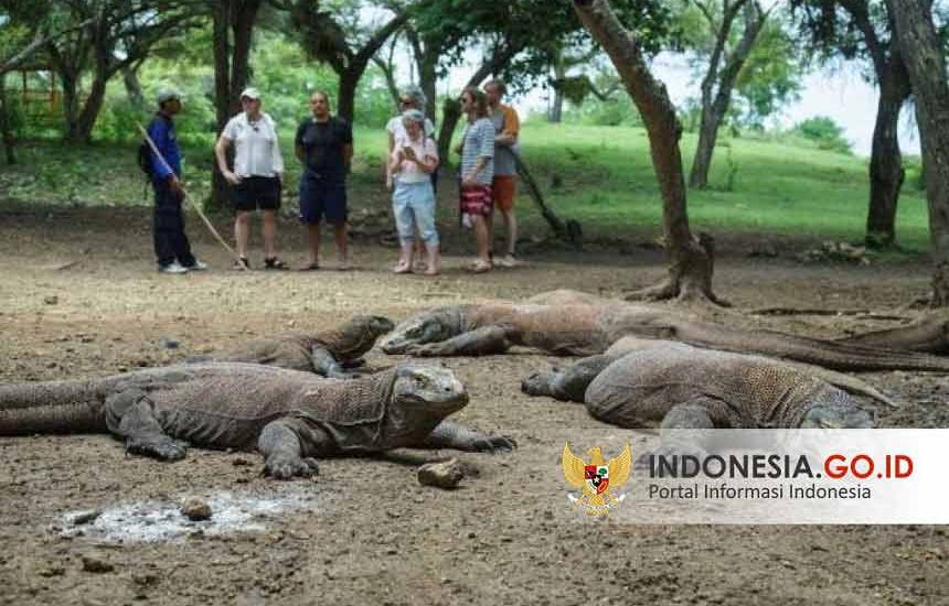 Pembatasan Demi Kelestarian Komodo
