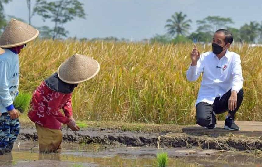 Swasembada Setelah Jeda 36 Tahun