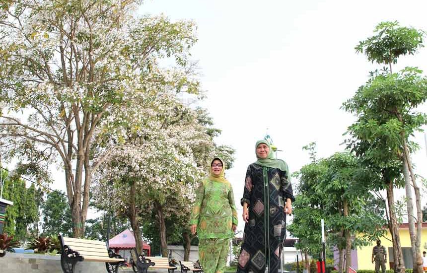Keindahan Tabebuya di Jombang Memukau