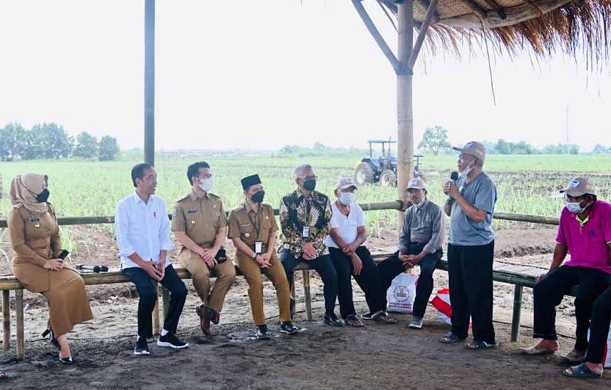Varietas Baru Tunjukkan Hasil Luar Biasa