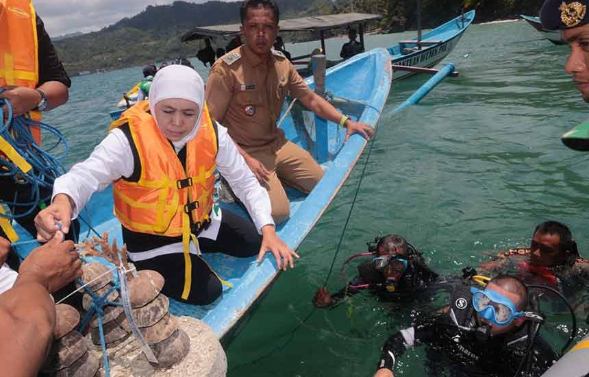 Khofifah Tanam Terumbu Karang dan Apartemen Ikan