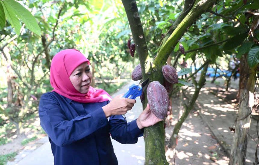 Desa Pendulum Devisa Tingkatkan Kesejahteraan