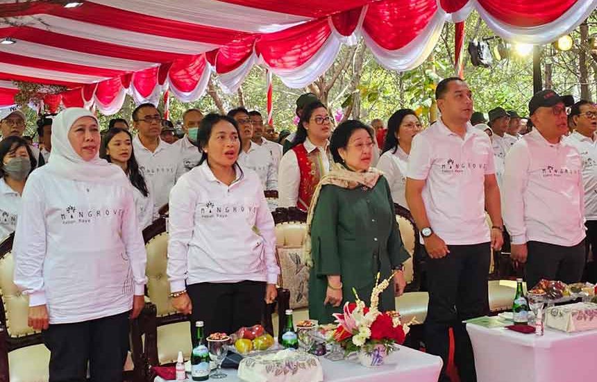 Mangrove Signifikan Turunkan Emisi Karbon