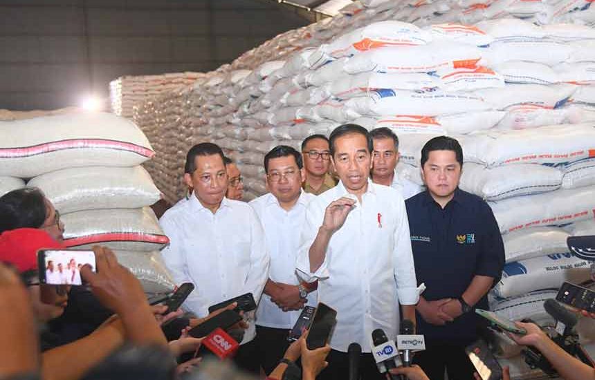 Jokowi Cek Ketersediaan Beras