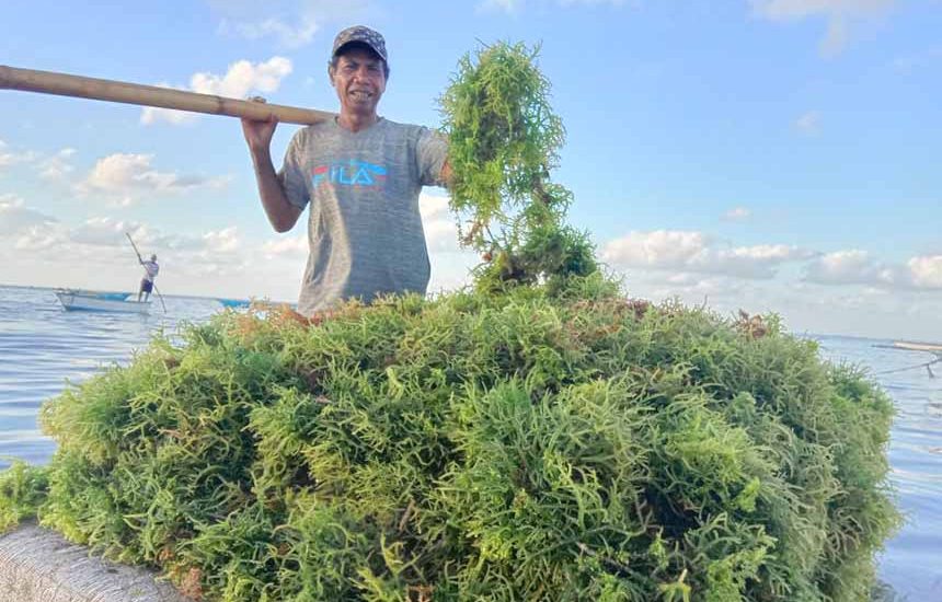 Kearifan Lokal Menjaga Laut