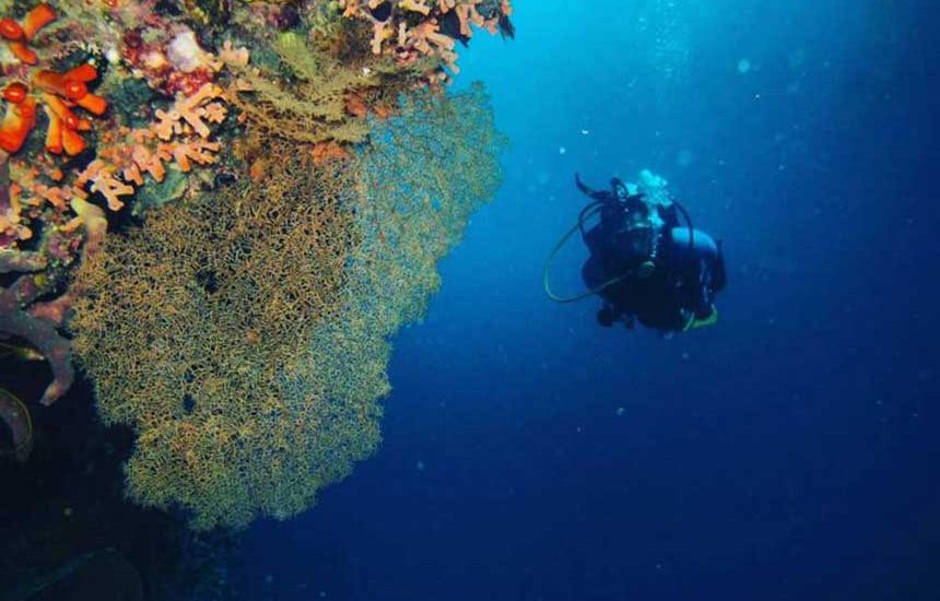 Taman Olele, Surga Tersembunyi