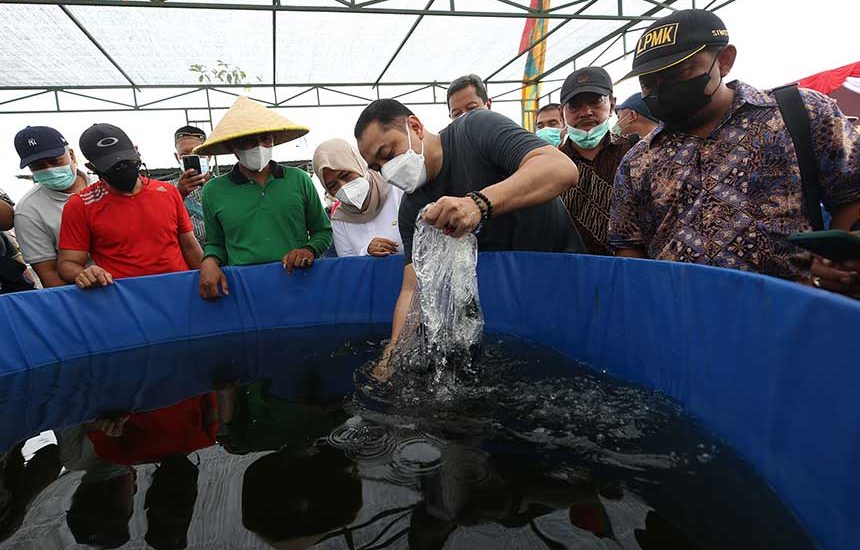 Padat Karya Serap 36.194 Tenaga Kerja