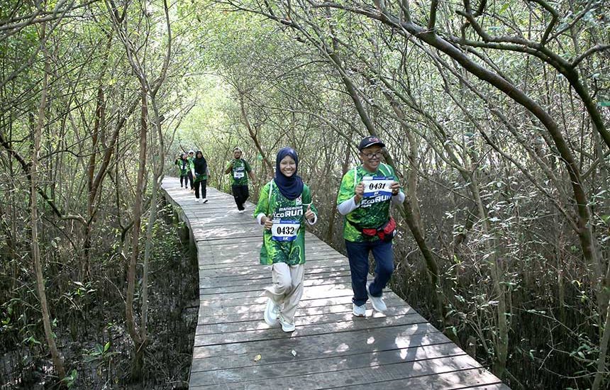 Mangrove Eco Run 2024 Meriah