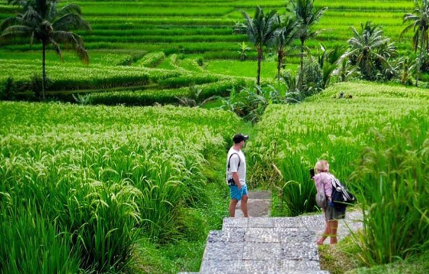 Jatiluwih Desa Terbaik Sedunia