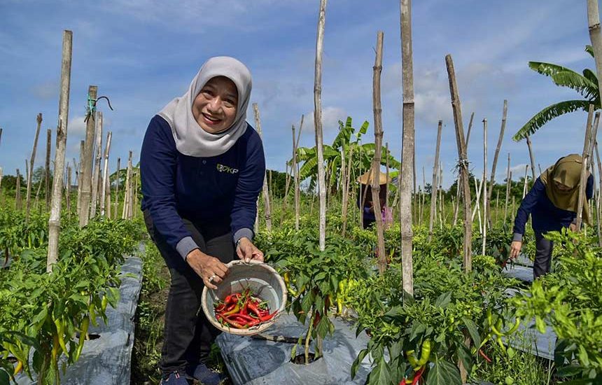 Produksi Lokal Tekan Ketergantungan