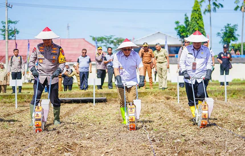 Tanam Jagung Serentak di Blitar