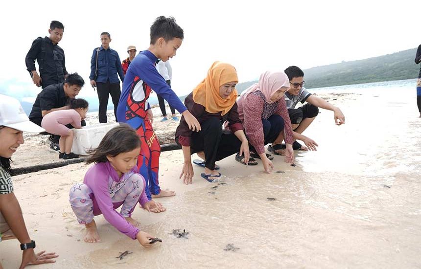 Khofifah Lepas Tukik di Pulau Tabuhan