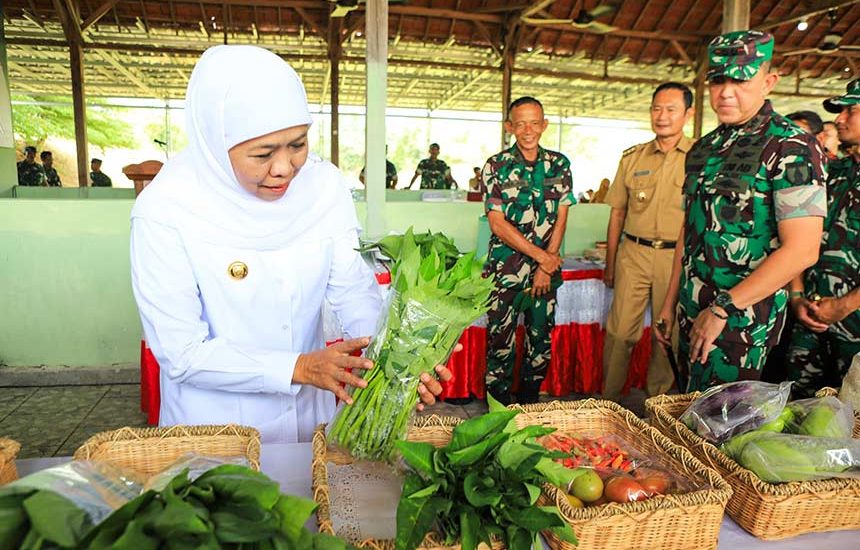 Khofifah Apresiasi Kampung Pangan Terpadu