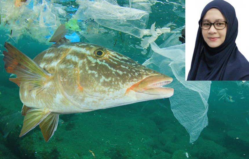 Bahaya Mikroplastik pada Produk Perikanan