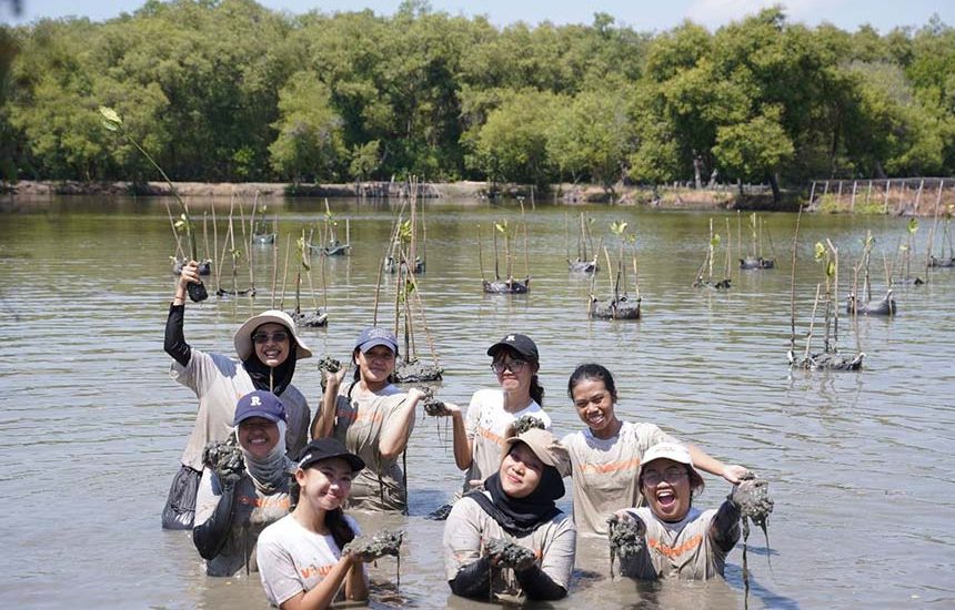 Tanam 1.000 Mangrove di Kawasan Pesisir Wonorejo