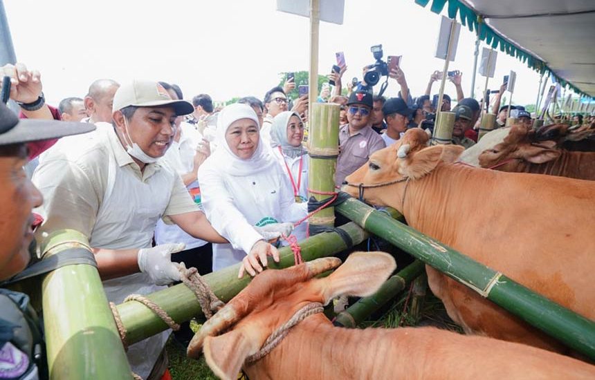 Serentak Inseminasi Buatan Serentak di Jatim