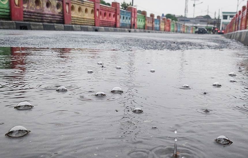 Dampak Mikroplastik Terhadap Ekosistem