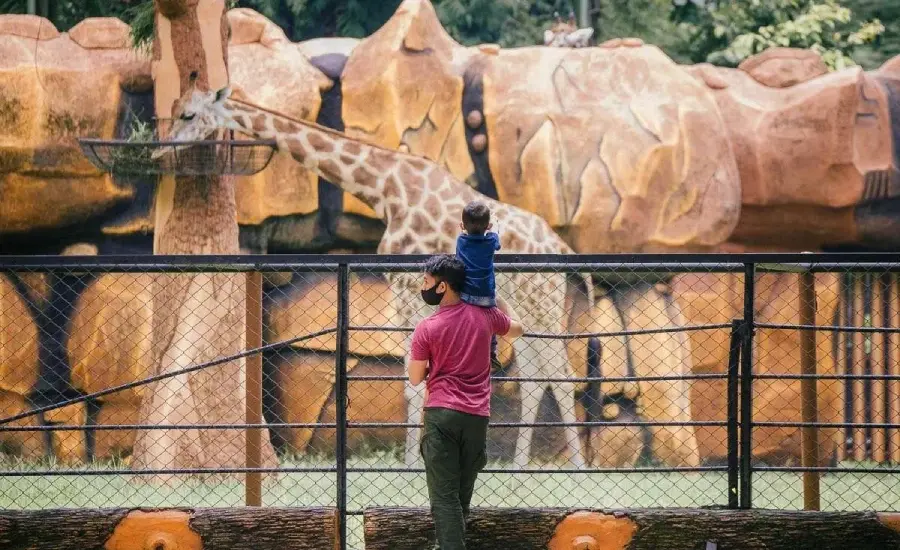 Libur Lebaran 2026, Kebun Binatang Surabaya Diserbu 40 Ribu Wisatawan Keluarga