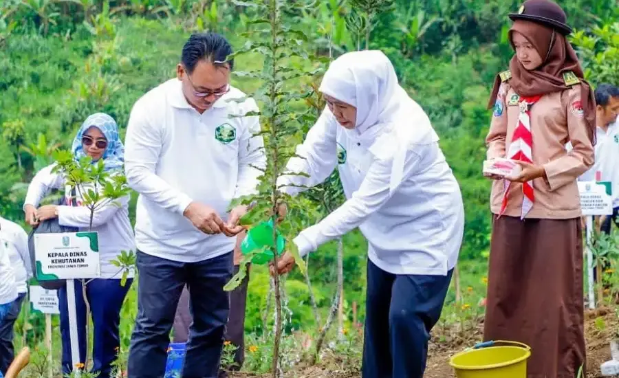 Kinerja KTH Jawa Timur Melonjak di Awal 2026, Transaksi Tembus Rp367,95 Miliar dan Dominasi Nasional