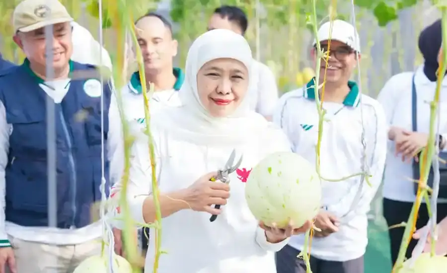 Gubernur Khofifah Resmikan Al-Akbar FishTech dan Panen Ratusan Melon IoT, Perkuat Ketahanan Pangan Berbasis Masjid Gubernur Khofifah meresmikan Al-Akbar FishTech dan memanen ratusan melon berbasis IoT di Masjid Al Akbar Surabaya untuk mendukung ketahanan pangan.