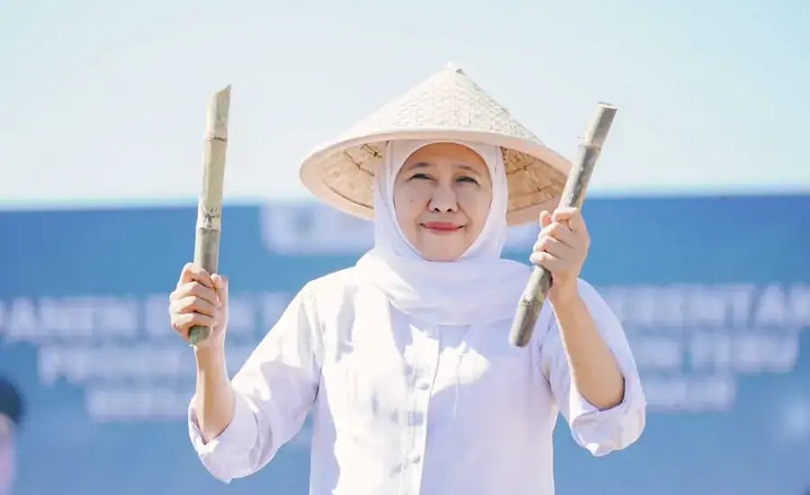 Gubernur Khofifah Pimpin Panen dan Tanam Tebu Serentak di Malang, Target 54.897 Hektare Dukung Swasembada Gula Gubernur Khofifah memimpin panen dan tanam tebu serentak di Malang. Jawa Timur targetkan 54.897 hektare untuk memperkuat swasembada gula nasional.